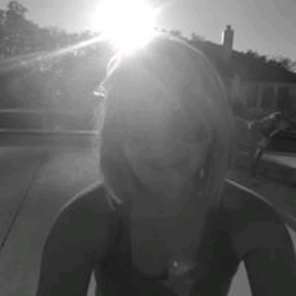 Meet your Posher, Tassley